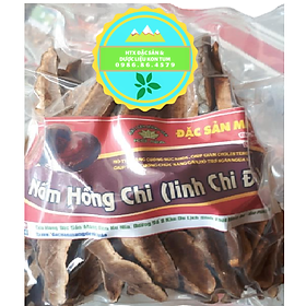 Nấm hồng chi (linh chi rừng) Việt Nam hỗ trợ hạn chế u khối ác tính (1kg)