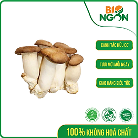 Hình ảnh Nấm đùi gà trung ( Hộp 200g)