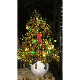 CÂY TÀI LỘC LÀ VÀNG CÁNH QUẠT SIÊU SANG  SIÊU SÁNG 70CM