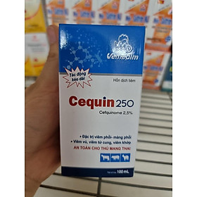 CENQUIN 250 .CHAI 100ML . CAO CẤP