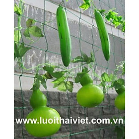 Mua Lưới trồng cây ( dây leo giàn )