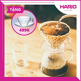 Bình Pha Cà Phê Hario Dripper 600ml S-VGBK-02-T (Kèm Phễu, Giấy Lọc, Muỗng)