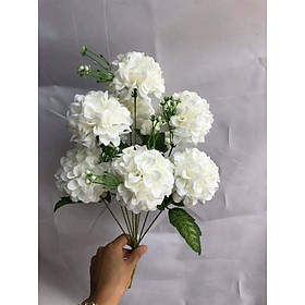 Mua Hoa Cúc Tổ Ong 9 bông  Cúc Tổ Ong HL045