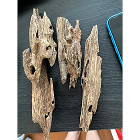 Mua Trầm hương Kiến Vip 50 gram cao cấp