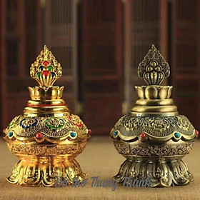 Mua Bảo Bình nhỏ