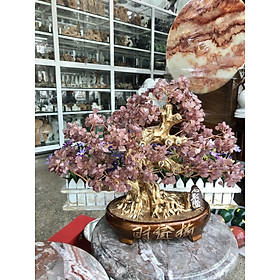 Cây Tài Lộc bonsai phong thủy đá thạch anh dâu tây đỏ - Cao 40 cm