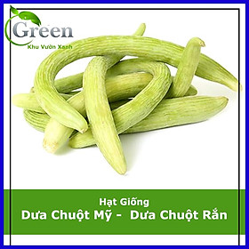 Mua Hạt Giống Dưa Chuột Mỹ Siêu Dài - Dưa Chuột Rắn Armenian