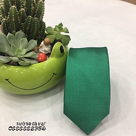 cavat nam bản nhỏ 5cm
