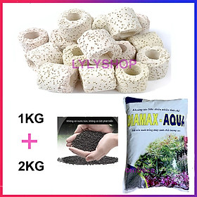 Sứ Lọc Bể Cá túi 1KG + Phân nền Dia MAX AQUA 2KG trồng cây thủy sinh hồ cá