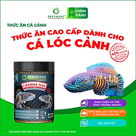 Thức ăn Cá Lóc Cảnh GREENABC - Channa Fish – Hàm lượng protein 40% giúp tăng trưởng nhanh, lên màu đẹp, màu sắc rực rỡ - Hộp 350g