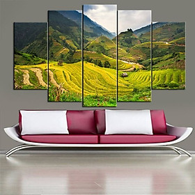 Tranh Ruộng Bậc Thang |Cánh Đồng Lúa Sapa |T3M-NEW-236