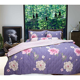 Bộ chăn ga gối 5 món cotton Hàn Julia 264BG16