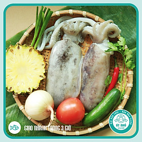 MỰC LÁ TƯƠI - Câu tự nhiên