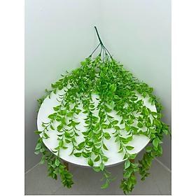 Mua Cụm lá rủ giả - Dây leo trang trí - dài 40cm đến 80cm - Cây giả  hoa lụa Decor trang trí nhà cửa