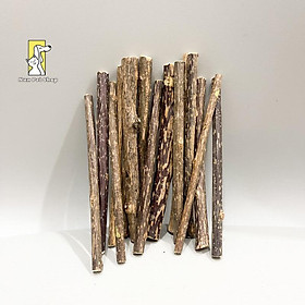 Que gỗ Catnip bạc hà cho mèo gặm sạch răng giảm Stress