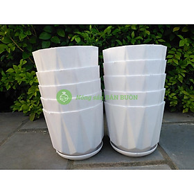 Mua 5 Chậu nhựa Múi Khế trắng trơn 140x115 (miệng x cao) có kèm Đĩa Lót  trồng xương rồng  sen đá  cây cảnh mini để bàn