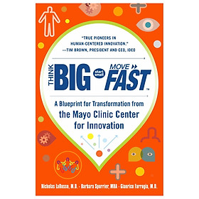 Think Big, Start Small, Move Fast: A Blueprint for Transformation from the Mayo Clinic Center for Innovation