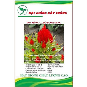 Mua Hạt Giống Hoa Mồng Gà Đỏ Đuôi Phụng CT443 - Gói 50 hạt