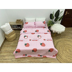 Mẫu Mới Bộ 5 Món Chăn Ga Gối Cotton Poly Dâu Nhật