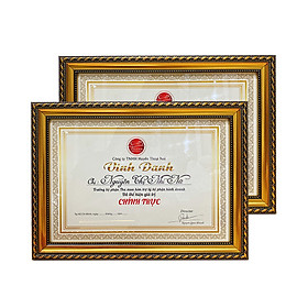 Combo 2 Khung Bằng Khen Treo Tường Hoa Văn Đẹp - PGBKCB14