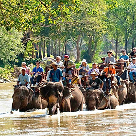 Vé Tham Quan Làng Voi Pattaya, Thái Lan - Một Giờ Trekking Cùng Voi (10: 30 - 11:30)