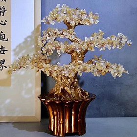 Mua Cây Đá Phong Thủy  Chậu Bon Sai Bằng Đá Để Bàn Siêu Đẹp - Cao ~45cm