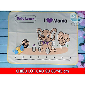 Mua TẤM LÓT CAO SU CỠ TO