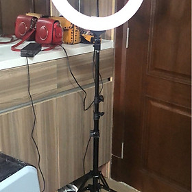 ĐÈN LED MINI SIZE 35CM HỖ TRỢ ÁNH SÁNG CHỤP ẢNH, LIVE STREAM KÈM CHÂN ĐỨNG 2M1