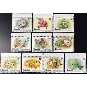 Bộ Tem Sưu Tầm Rwanda Năm 1981 Chủ Đề Các Loài Hoa - 9 Con Stamps