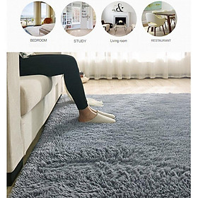 Modern Shag Area Fluffy Rugs Anti-Skid Shaggy Area Rug Bedroom Carpet Floor Mat