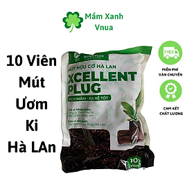 Mua 10 Mút Ươm Kie Hà Lan - Ươm Kie  Tạo Độ Ẩm và Kích Rễ Lan