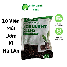 10 Mút Ươm Kie Hà Lan - Ươm Kie, Tạo Độ Ẩm và Kích Rễ Lan