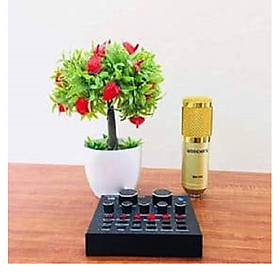Mua Bộ mic thu âm