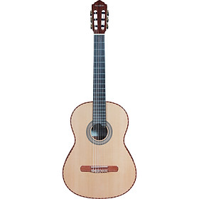 Đàn Guitar Swallow Classic C750