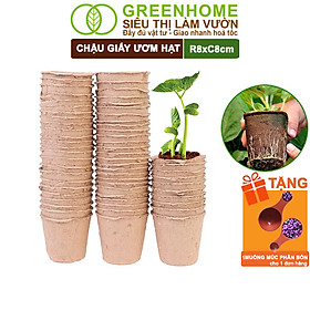 10 Chậu Trồng Cây Greenhome, D8xR8cm, Bằng Giấy Tự Phân Huỷ, Ươm Hạt Giống, Cây Con, Tiện Lợi, Thân Thiện Môi Trường