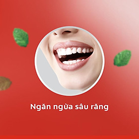 Bộ đôi nước súc miệng Colgate diệt 99% vi khuẩn Plax bạc hà 500ml/chai