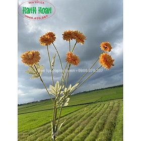 Mua Cành hoa cúc Bất Tử 8 bông cao cấp loại 1-Hoa lụa  hoa giả decor
