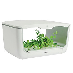 Máy trồng cây thông minh Hafele BM-H001WH 539.76.990