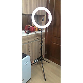 Mua ĐÈN LED MINI SIZE 35CM HỖ TRỢ ÁNH SÁNG CHỤP ẢNH  LIVE STREAM...