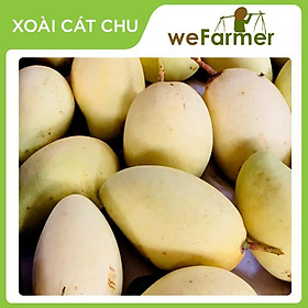 Xoài cát Chu (3kg) - WeFarmer