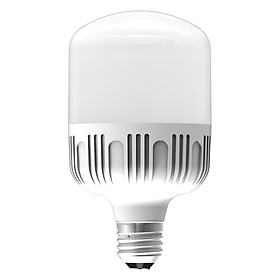 Hình ảnh Bóng Đèn Led Bulb Công Suất Lớn Điện Quang ĐQ Ledbu10 50765AW (50W Daylight, Chống Ẩm)