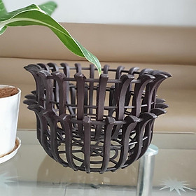 Bộ 2 chậu trồng lan bí ngô giả gỗ 30x13cm-Đồ Gia Dụng Tại HCM
