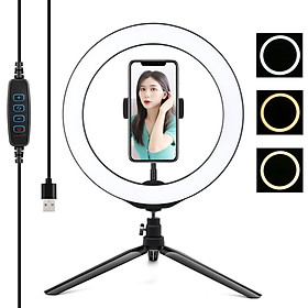 Đèn livestream hình tròn Puluz 10,2 inch 80 bóng ánh sáng với sạc USB thay đổi 3 màu