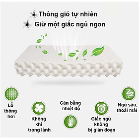 Mua Gối Ngủ Cao Su Non Đàn Hồi Cao Cấp - Skylife