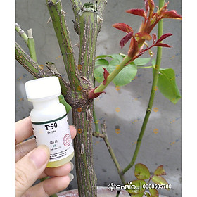 Enzyme thực vật T-90 BR | Kích chồi hoa hồng - Chai 15g