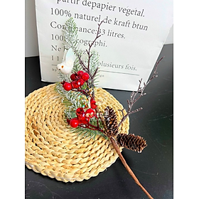 Mua Cành thông trang trí Noel - Size từ 30cm đến 60cm - Cây giả  hoa lụa Decor trang trí nhà cửa