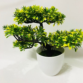 Chậu Bonsai nhựa 3 nhánh dáng Xòe các màu