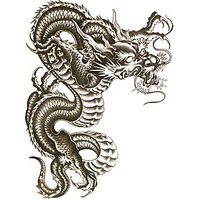 Hình Xăm Dán Rồng QSA043