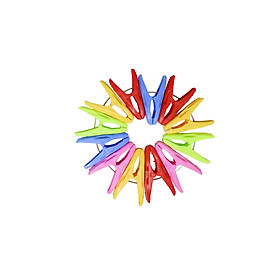 Vỉ kẹp nhựa Chấn Thuận Thành