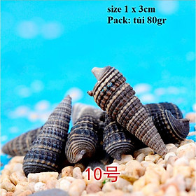 Các mẫu vỏ ốc trang trí tiểu cảnh, móc khóa, đồ dùng, DIY